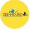 Caribbean eShop Haiti Foundation 